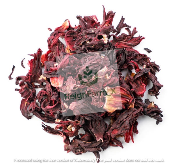 hibiscus image